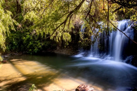 a waterfall in a forest