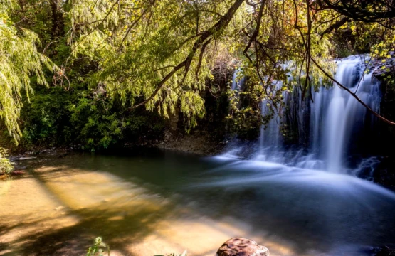 a waterfall in a forest