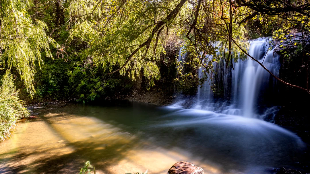 a waterfall in a forest