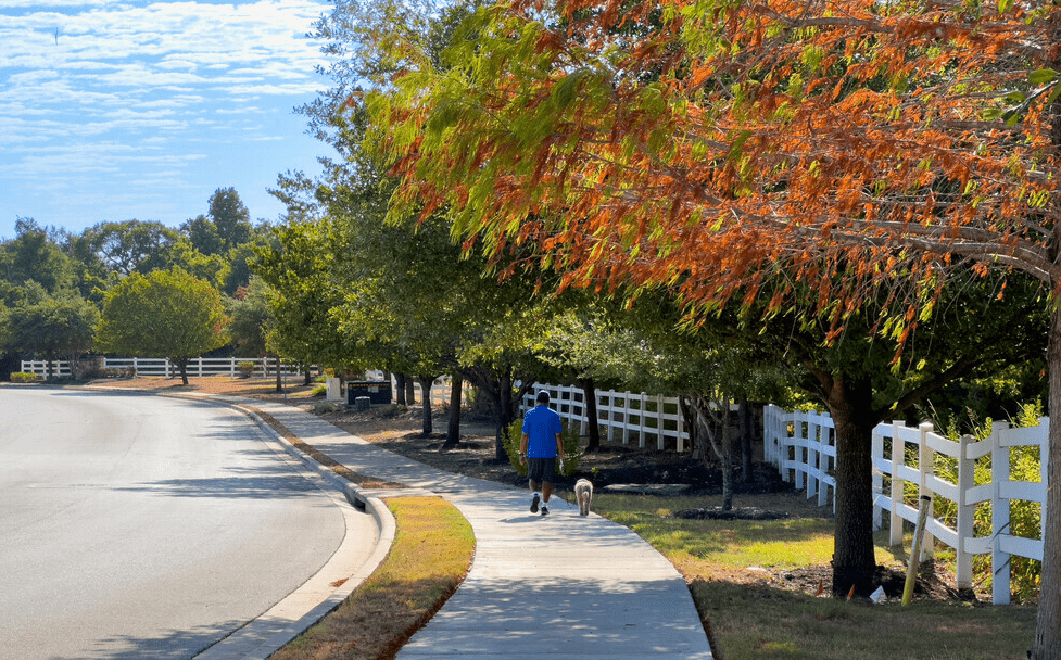 Scenic view of a peaceful suburban street in the Autumn Fire Drive neighborhood of Cedar Park, lined with lush trees and charming homes.