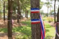 Memorial Day staycation at Autumn Fire BnB with red, white, and blue banners tied around a slim tree trunk.