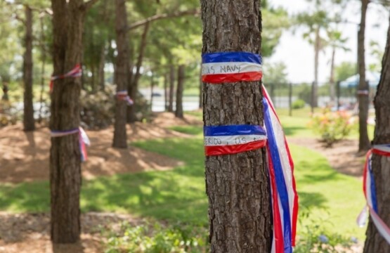Memorial Day staycation at Autumn Fire BnB with red, white, and blue banners tied around a slim tree trunk.