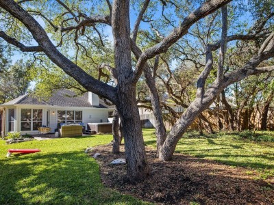 A view of the spacious backyard features a sprawling tree at the center, its branches extending gracefully, with the patio serving as a backdrop.